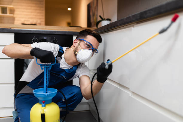 Pest Control Cost in Cabana Colony, FL