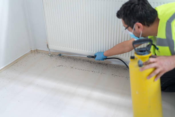 Best Pest Control Near Me in Cabana Colony, FL